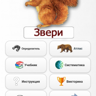 Какие приложения можно скачать на смартфон