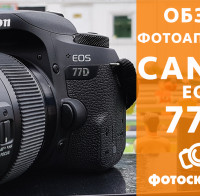 Видеообзор Canon EOS 77D