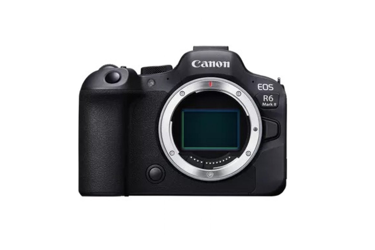 Беззеркальный фотоаппарат Canon EOS R6 Mark II Body купить по низким ценам  - отзывы, фото, видеообзоры