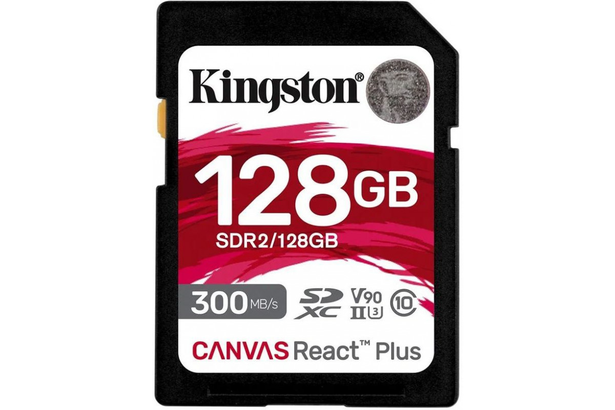 Карта памяти kingston canvas go plus 256 гб