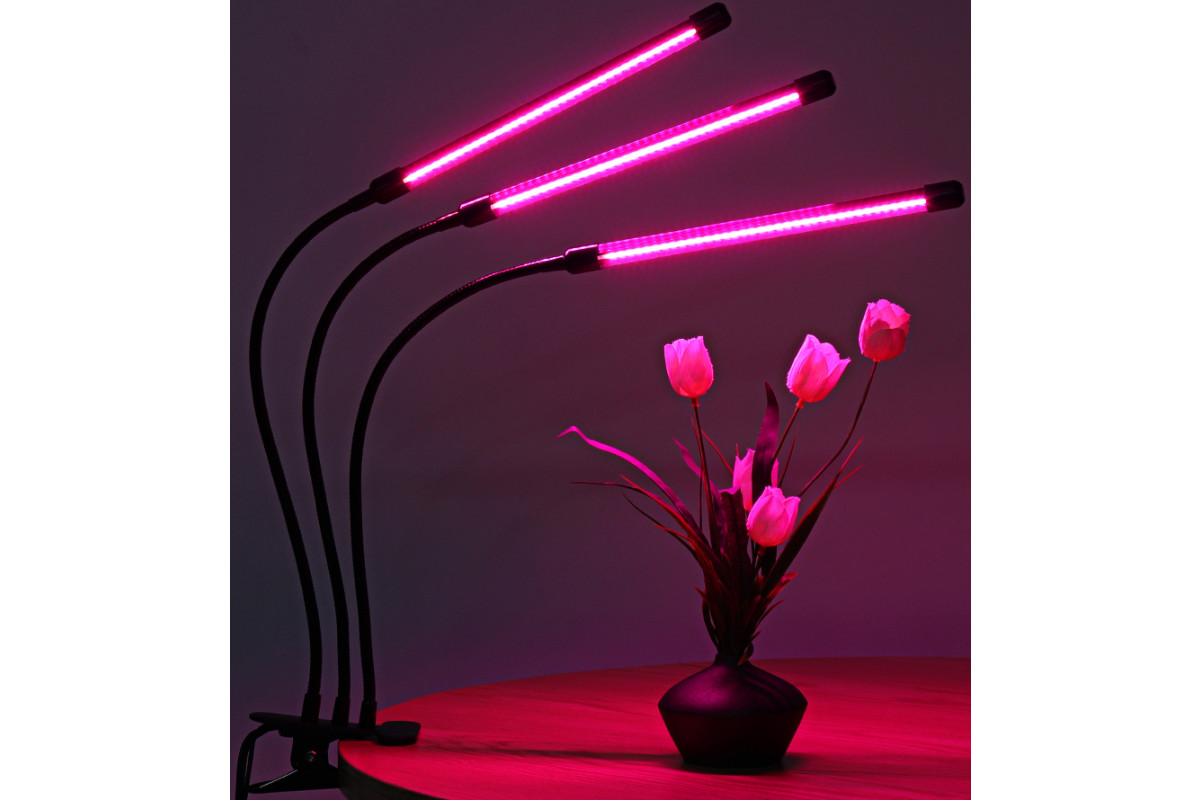 Розовый свет купить. Фитолампа светодиодная для растений Эра. Фитосветильник 400 ватт. Фитолампа 10 ватт для растений. Фитолампа с 3 лампами.