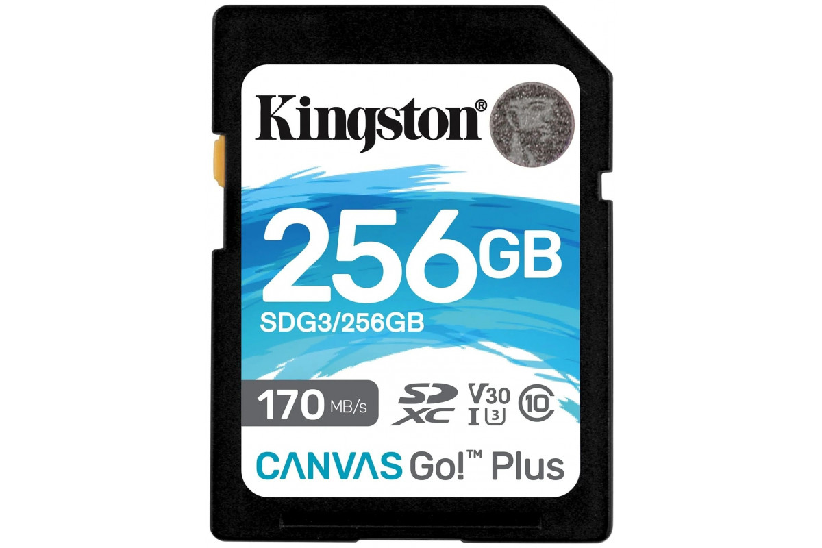 Карта памяти kingston canvas go plus 128 гб sdcg3 128gbsp